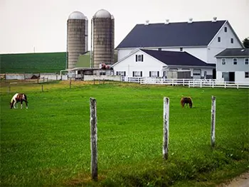 farm and field