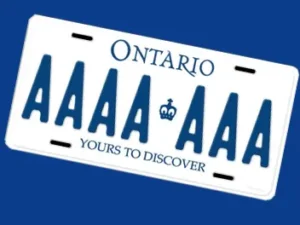 License plate